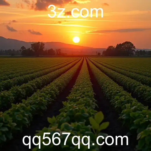 A Ascensão Explosiva dos Jogos Online com QQ567