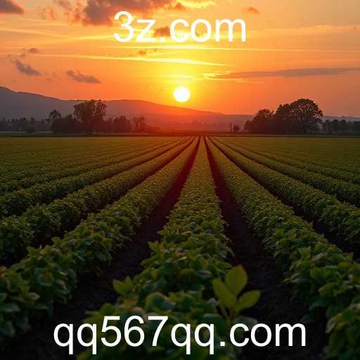 A Ascensão Explosiva dos Jogos Online com QQ567